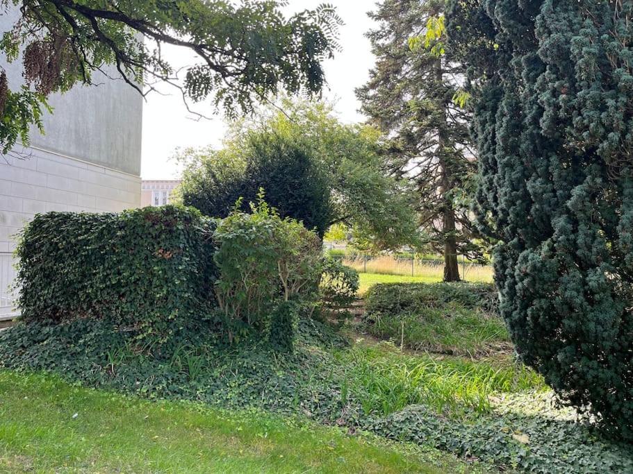 Gites Maisons De Champagnes Reims Esterno foto